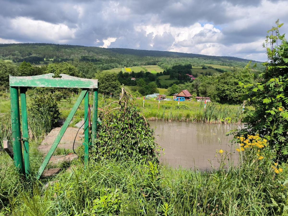 Agroturystyka Odnowica U Pawla Esterno foto